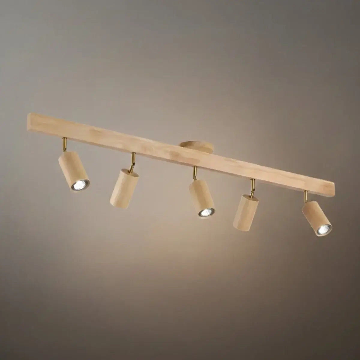 Modern Track Light